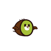 Kiwi Bird